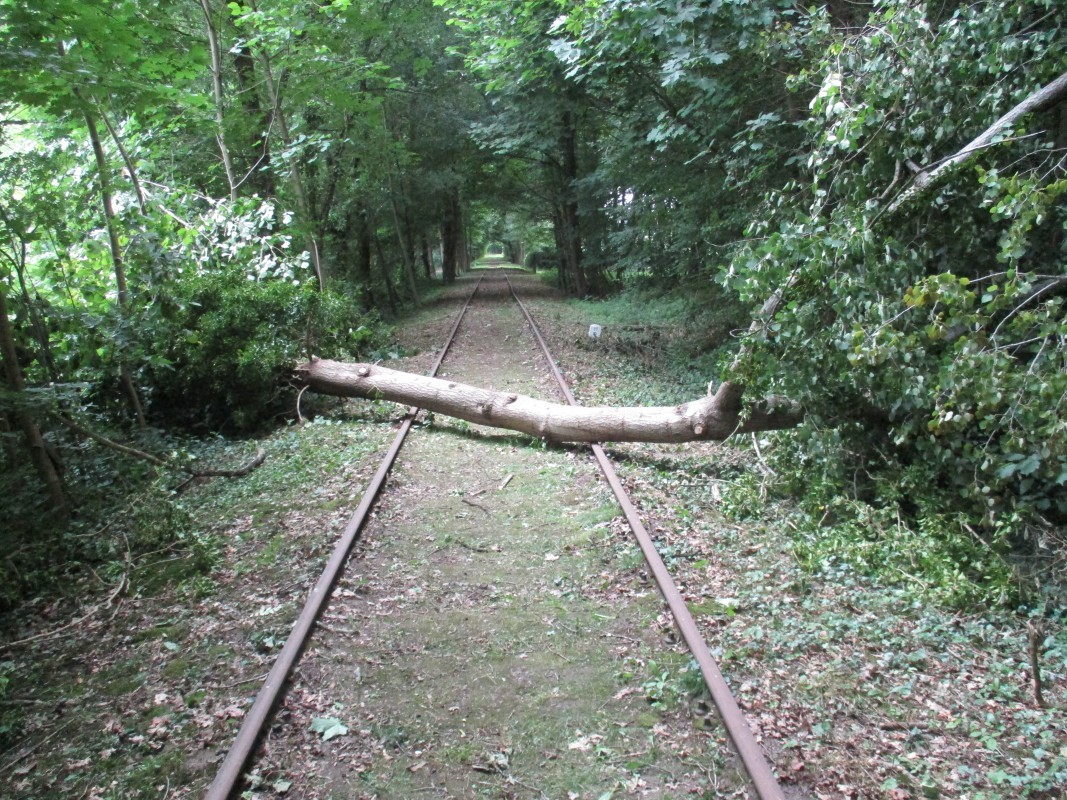 ZWNEGI12